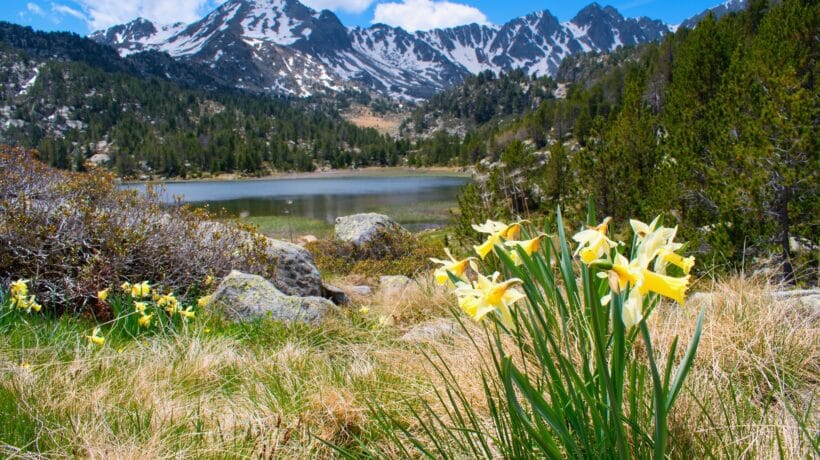 Andorre