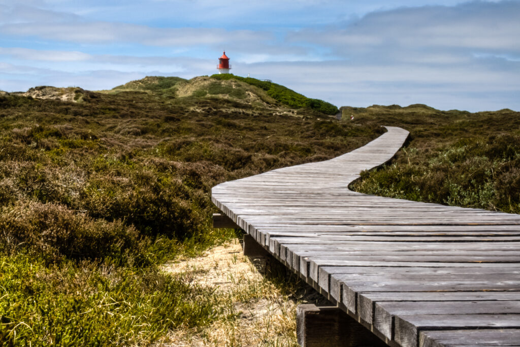 Que faire dans les Landes quand il pleut ?